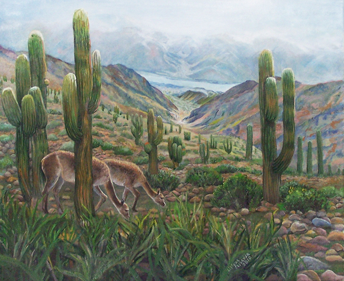 Milagrosa La Puna. 50X60