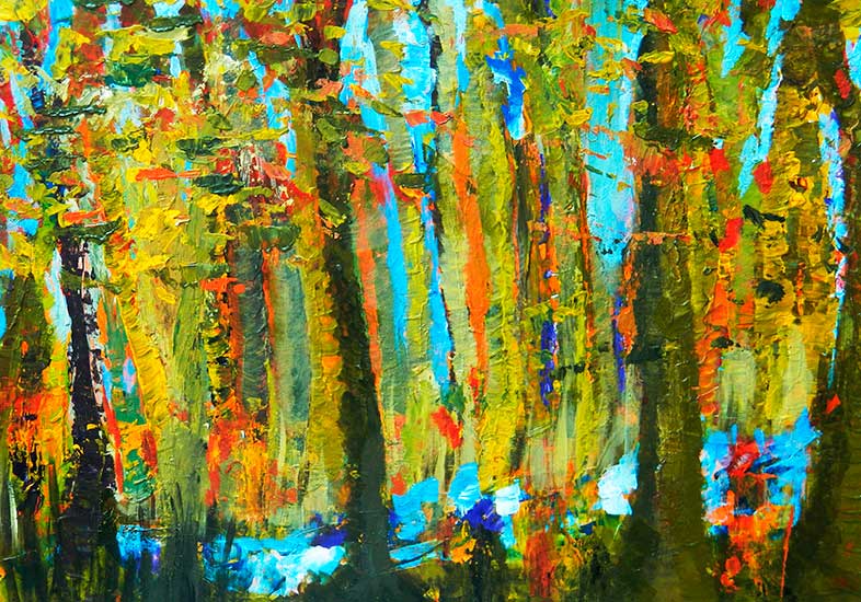 Arroyo en el bosque